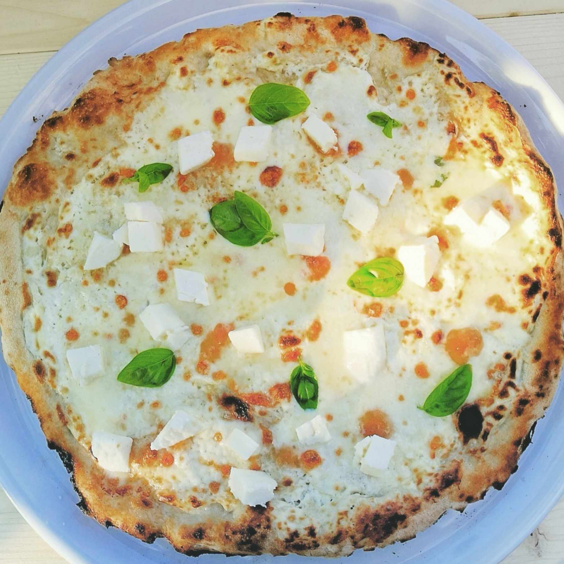 vinospizza